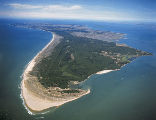 Casino terrestre de l’île d’Oléron : rêve ou réalité?